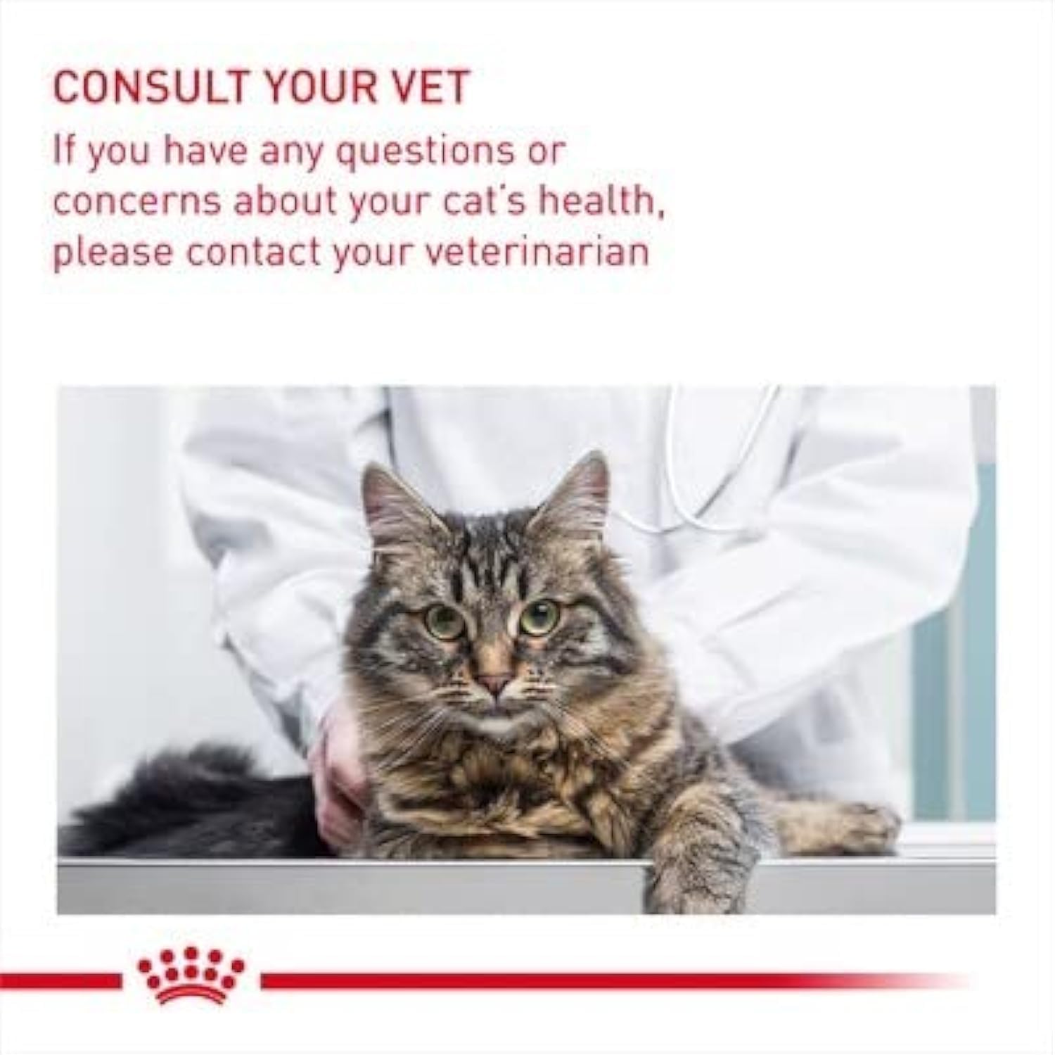 Royal Canin Feline Care Nutrition Digestive Care 2 KG